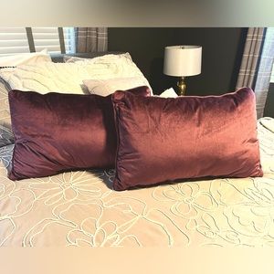 Velveteen rectangular pillows.